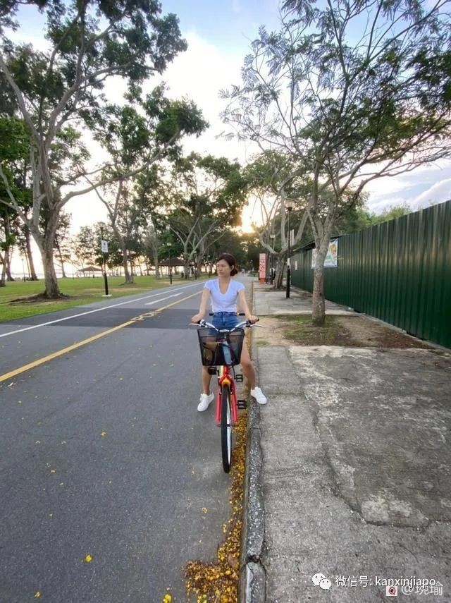 新加坡物价飙升原因有哪些,新加坡2023年物价上涨多少