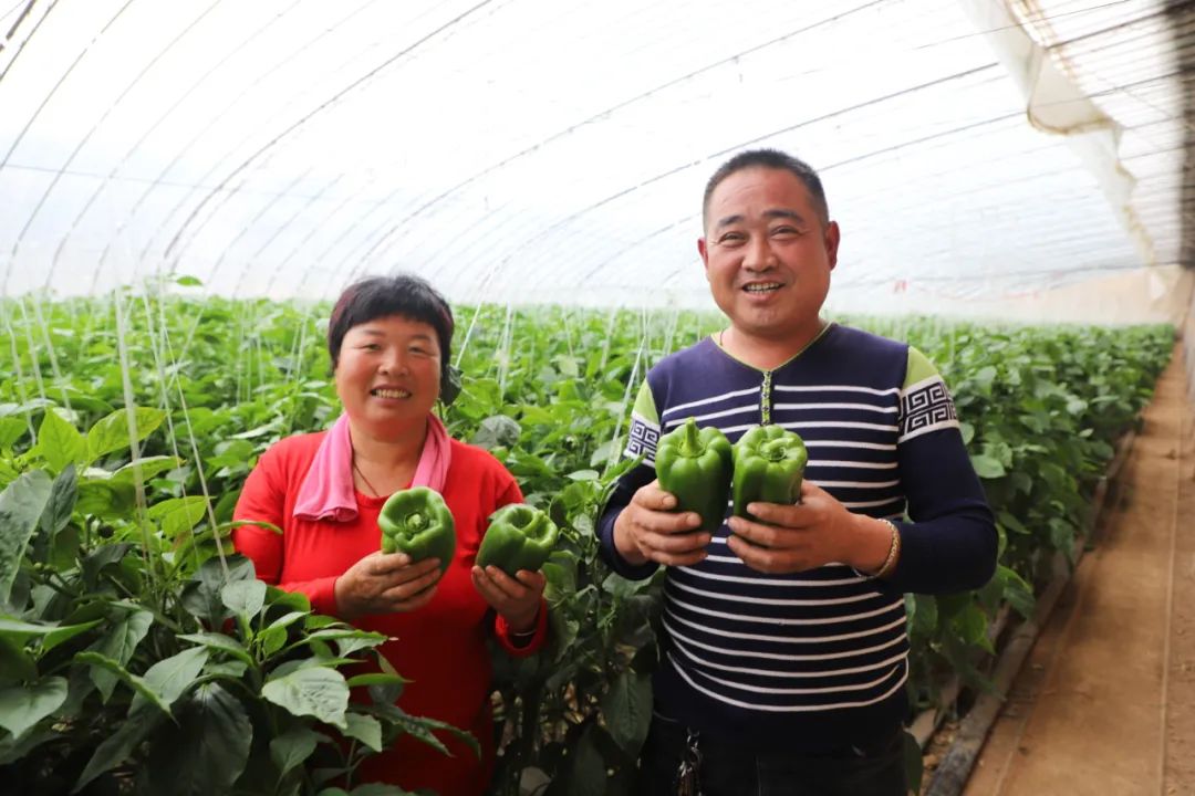 凝心聚力再发力,凝心聚力推进镇域经济高质量发展