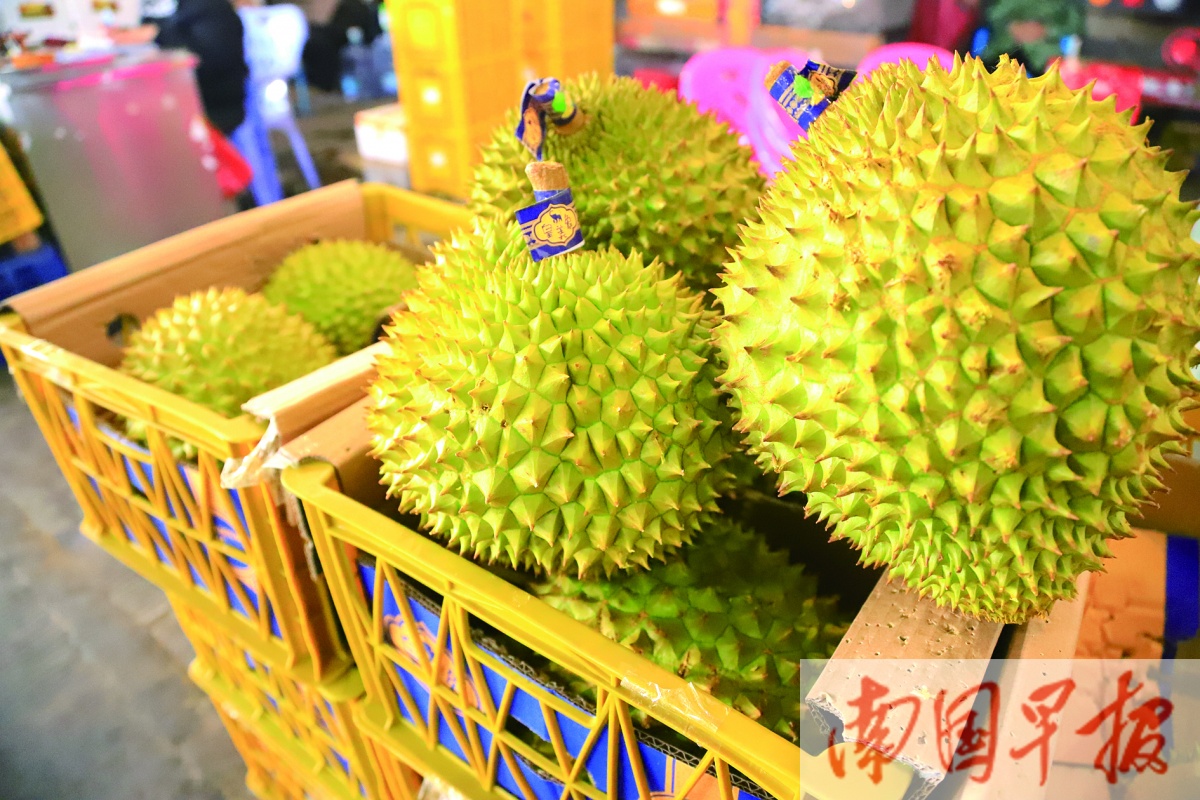 春节将至水果批发市场行情,南宁水果批发市场今日榴莲价格