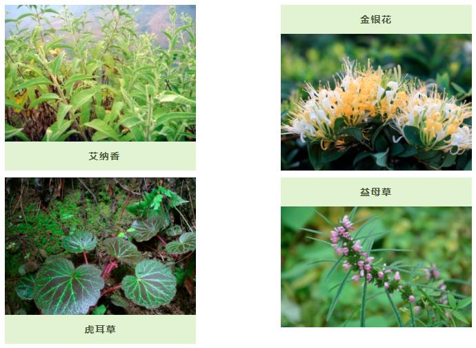 今天聊聊黔西南州的康养产品和美食（十三）