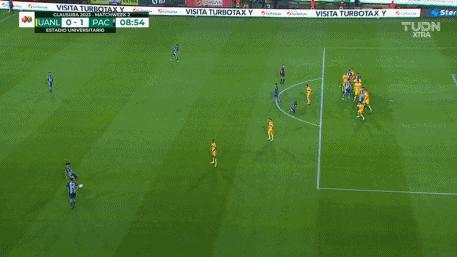 墨西超今日分析,老虎大学vs帕丘卡预测