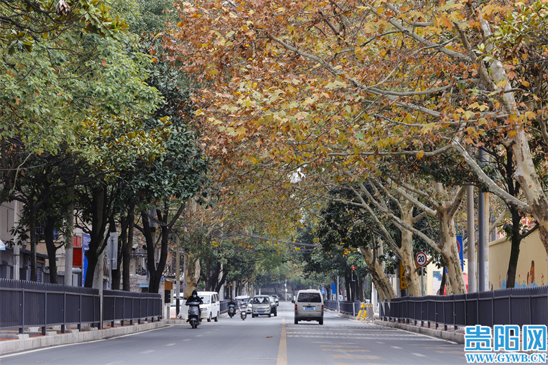 贵安县民生实事,贵安新区十件民生实事