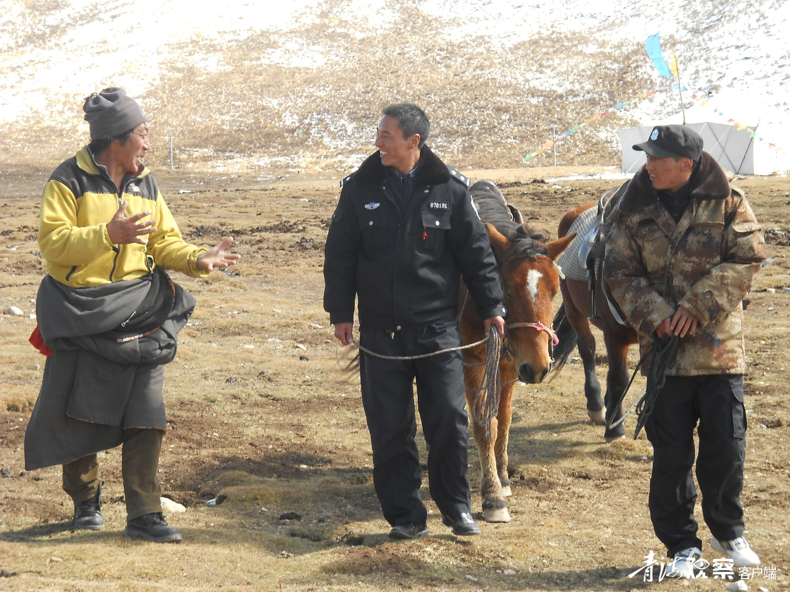 平安青海建设明确目标任务,全力推进平安青海建设