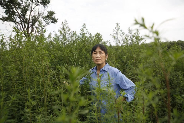 育儿嫂作家范雨素,保姆作家范雨素
