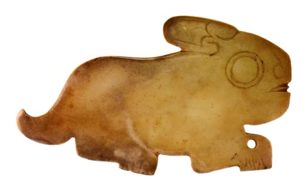 兔年有什么兔子,兔年遇见野兔预兆