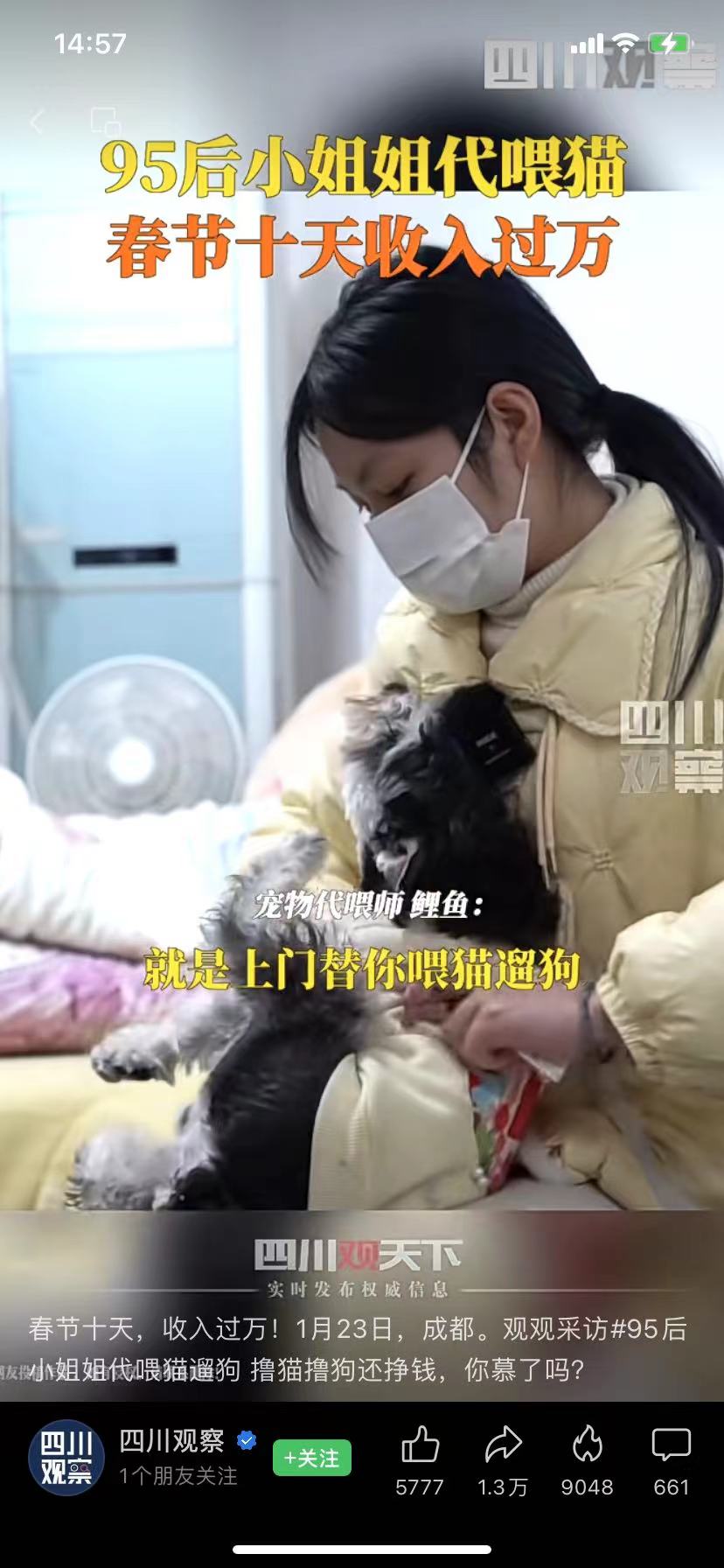 撸猫遛狗还能挣钱！95后兼职春节宠托师，有人10天收入过万