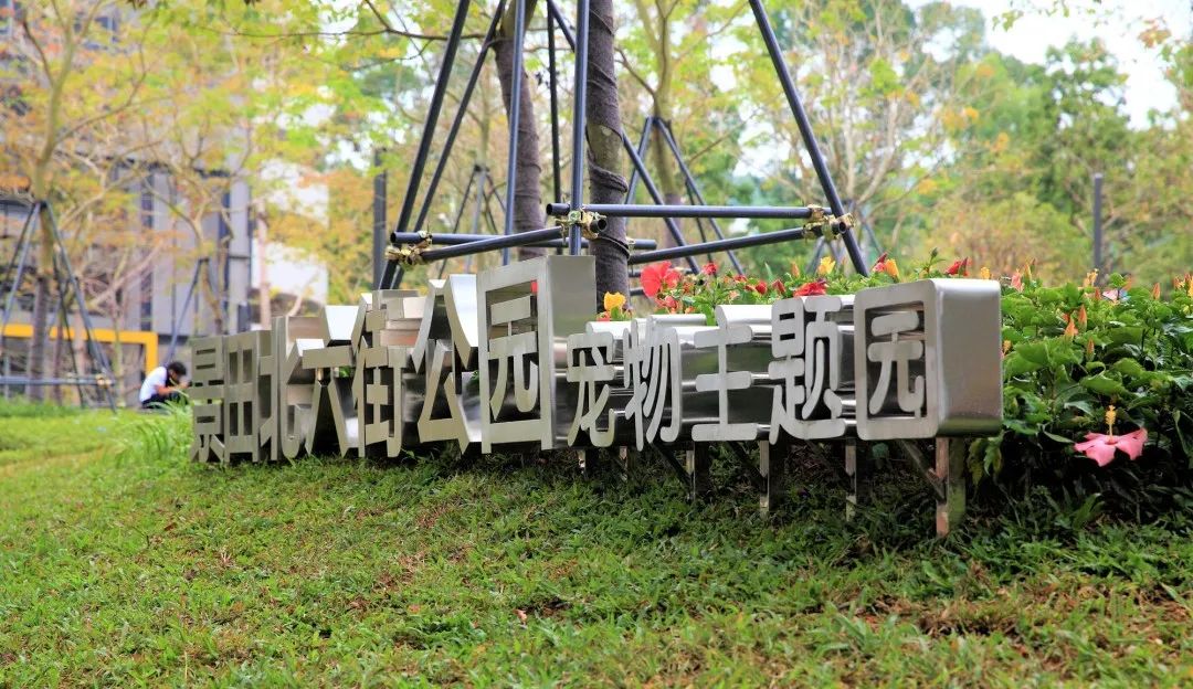 深圳可以带宠物拍照好看的公园,深圳宠物公园有哪些名字