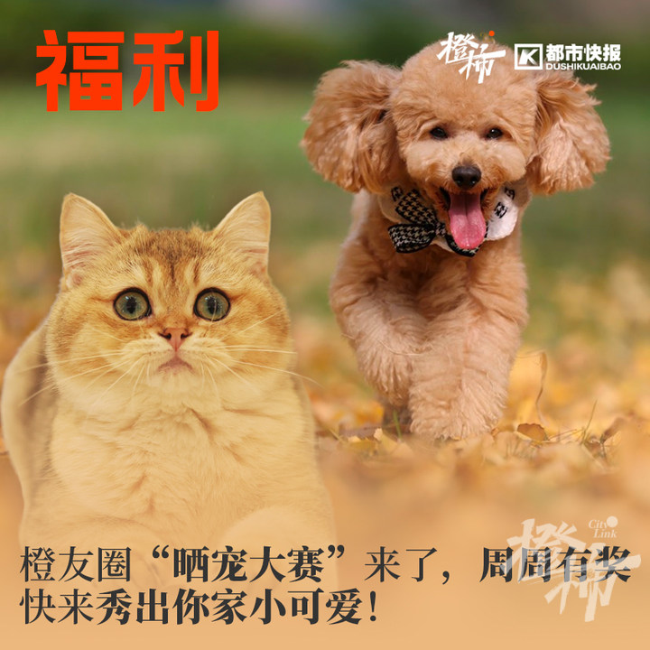 跟着它打卡杭城秘境，探寻人文历史，晒新书送西湖游船票｜橙柿福利