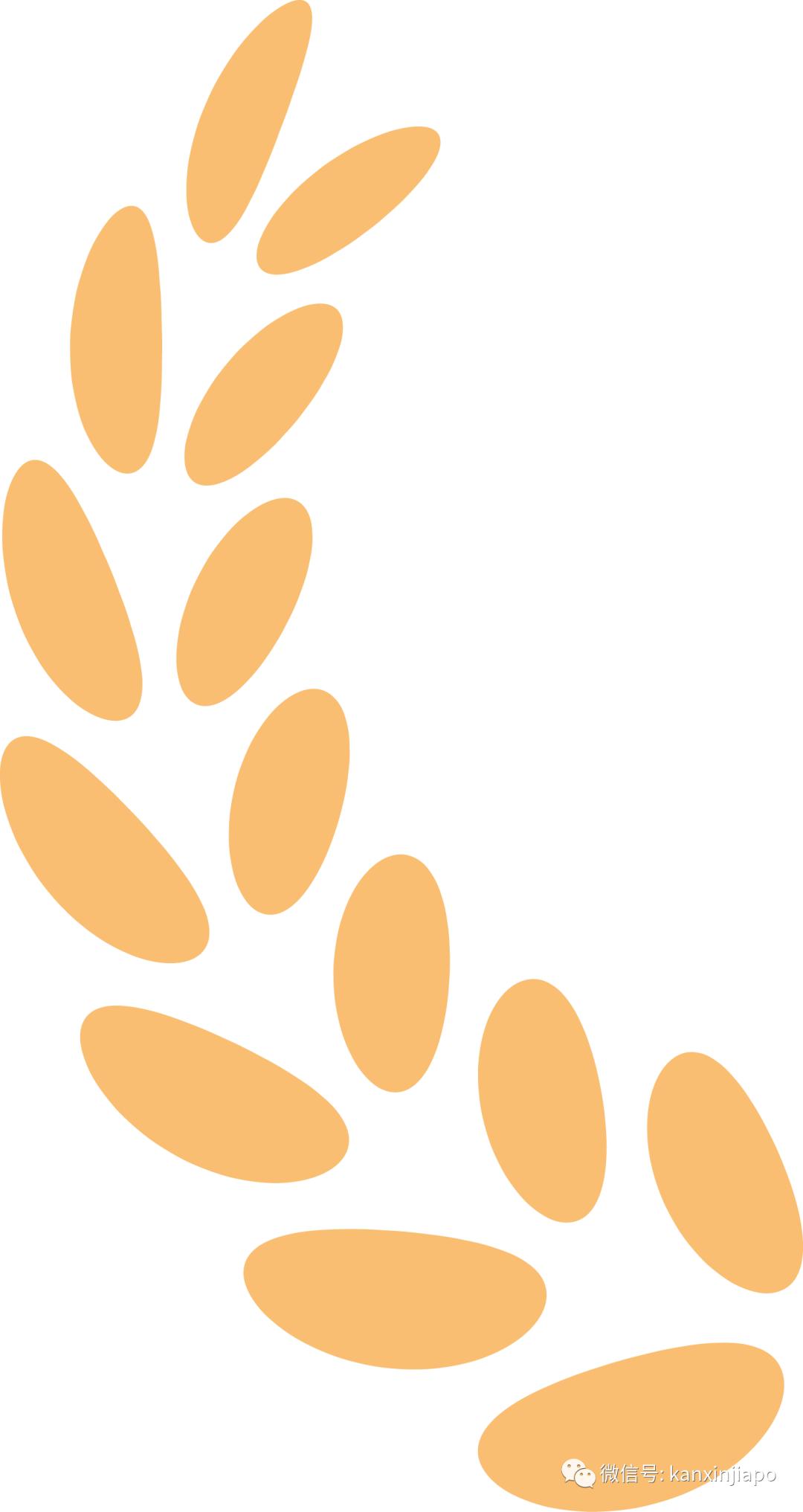 新加坡护照自动通关,深圳出境新加坡自助通关