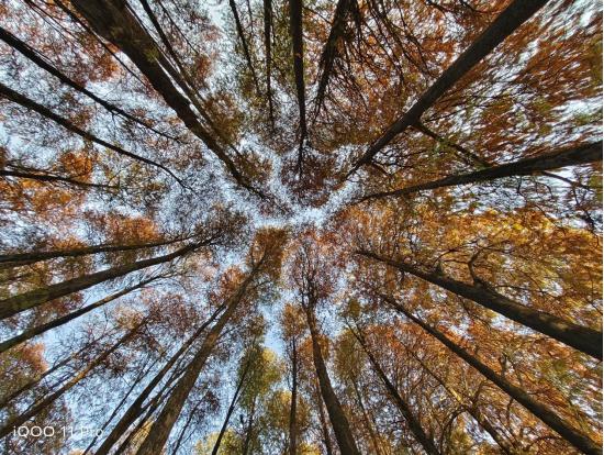 iqoo11pro用三年体验,iqoo11pro有哪些好玩的