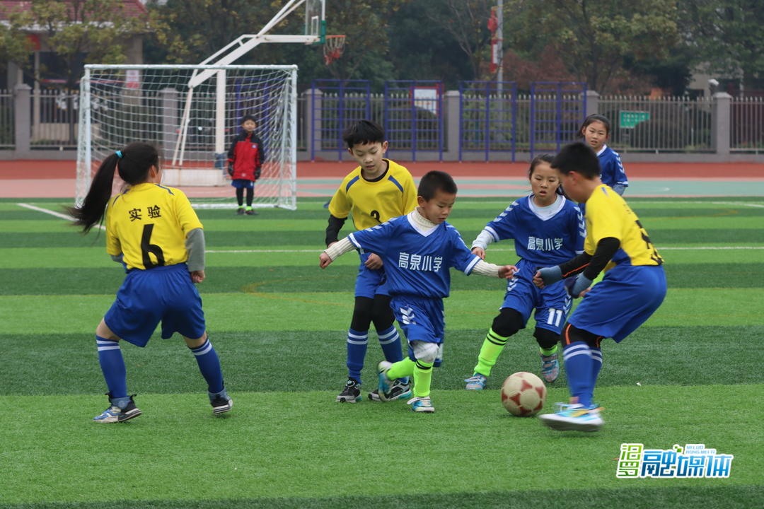 足球健儿们在绿茵场上挥洒汗水,精彩的青少年足球比赛视频