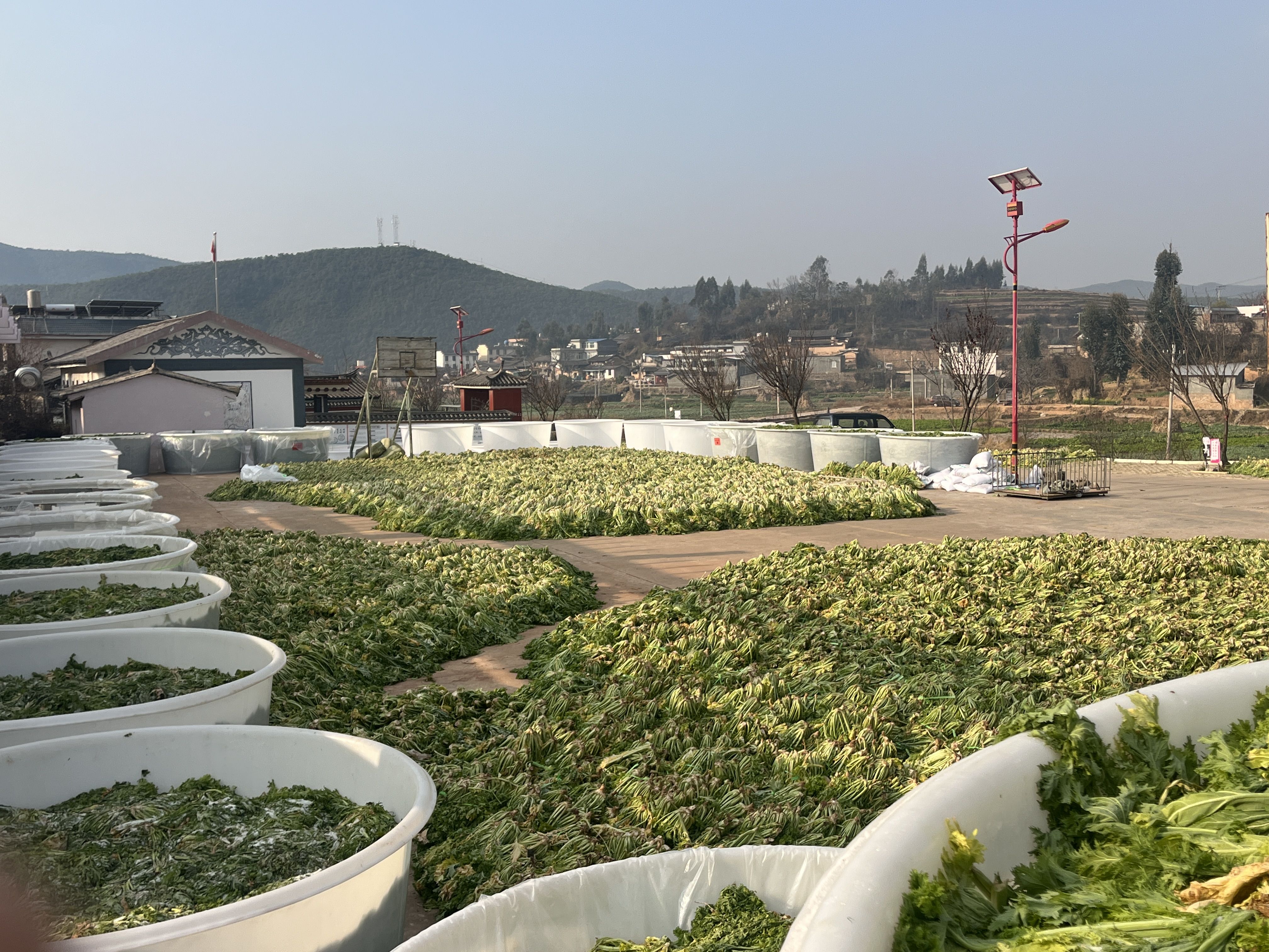 乡村振兴正当时返乡创业,乡村振兴小农经济