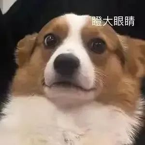 免费领水果是真实的吗,免费送水果新型骗局是真的吗