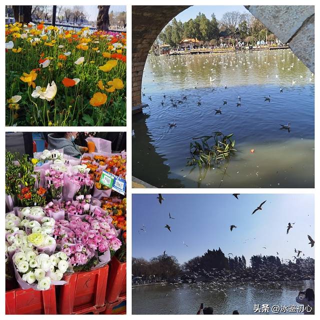 昆明瑞丽攻略,kk云南