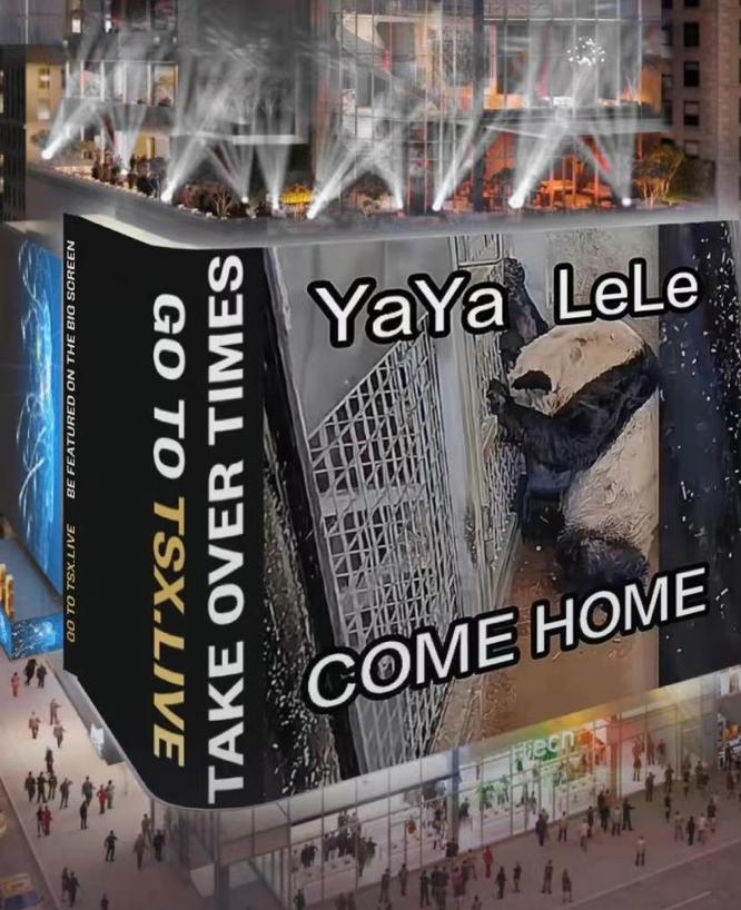 在美华人为熊猫丫丫买时代广场投屏：在动物园里感受到它的痛苦，没有嫩竹笋，没人与它互动，想为它发声