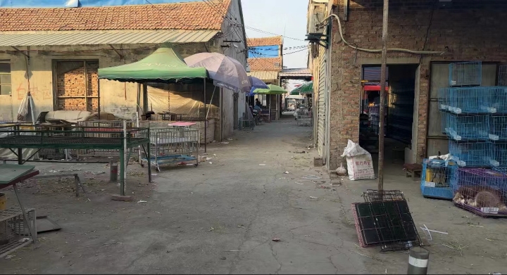 关于宠物行业经营乱象的新闻,宠物乱象