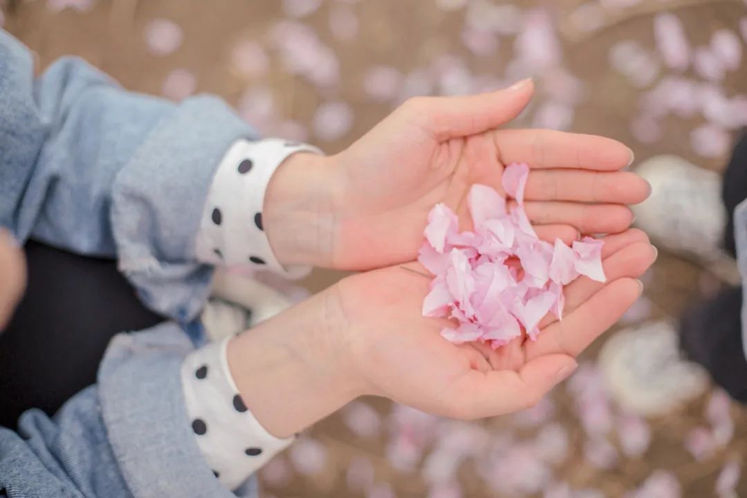 荆州赏樱,中国十大赏樱胜地最值得去的