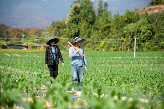 云南省西双版纳熊杰:小玉米做成大产业,傣族村寨借力电商走上致富路