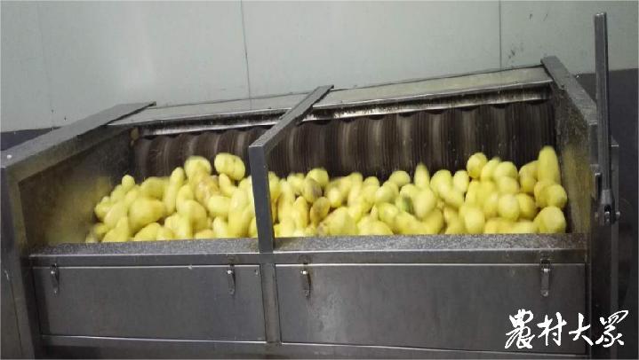 “菜篮子”变成“菜盘子”，预制菜推进红花镇兴农致富