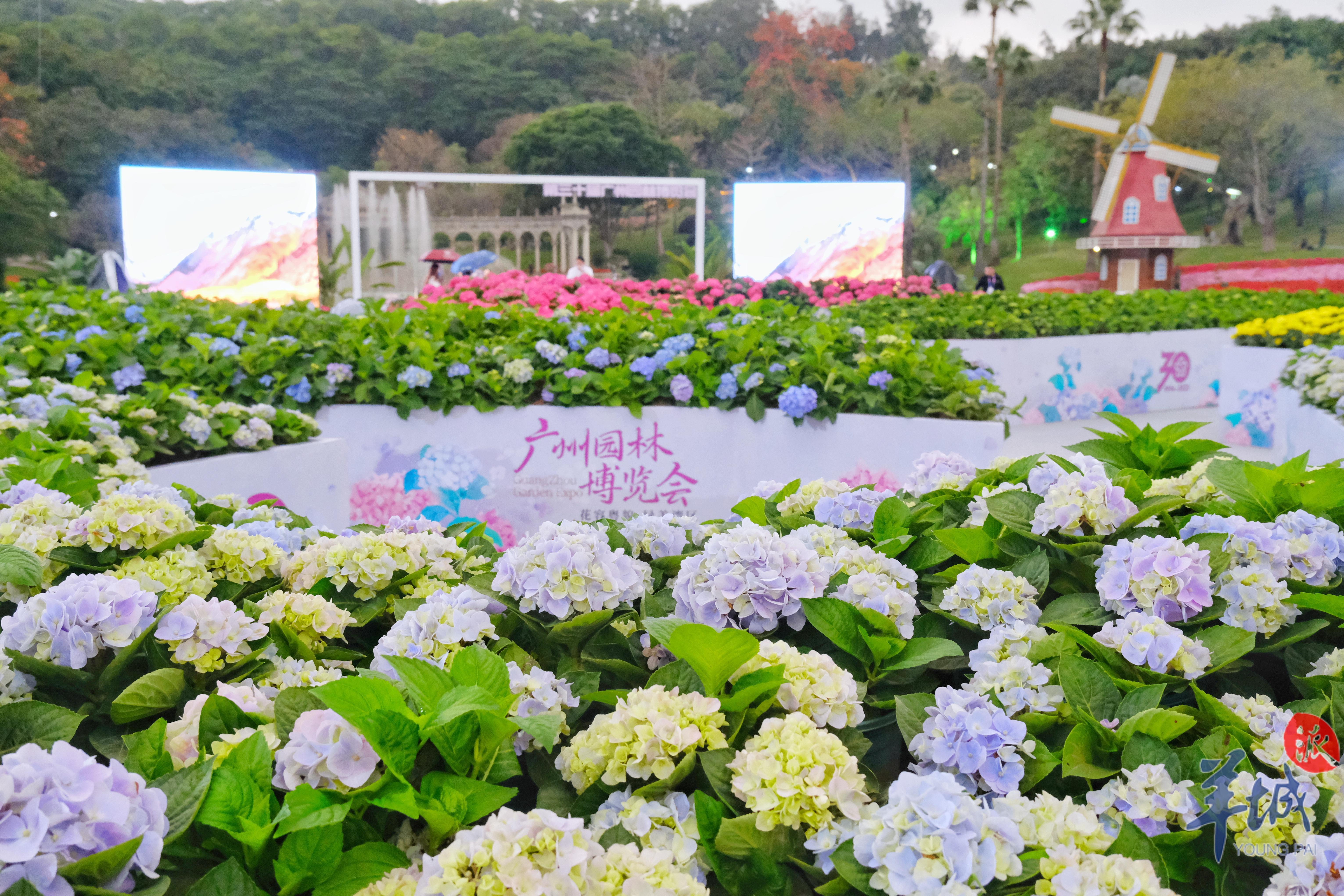 香港人大湾区购房贷款,香港人大湾区买房贷款