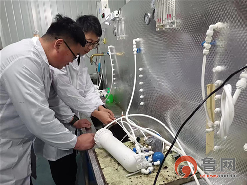 莱西人王镇爱回乡创业路上“惊喜”多