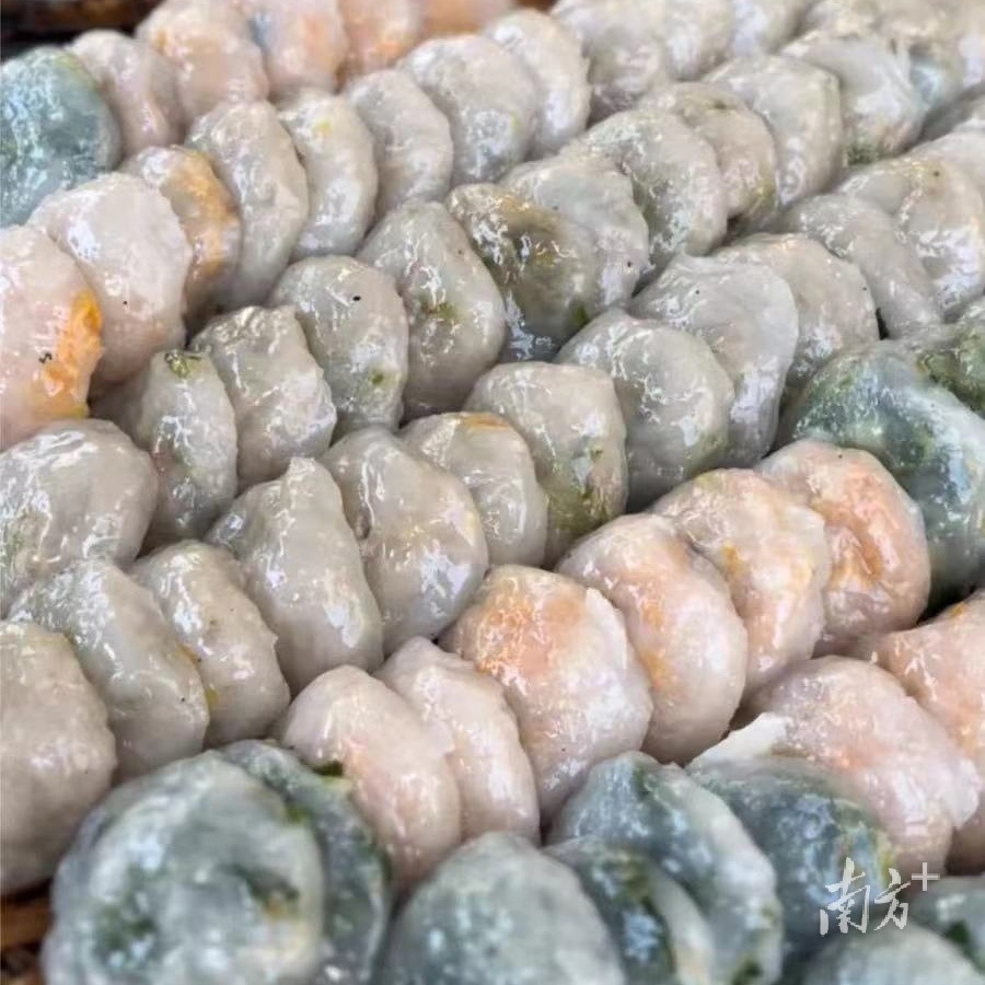 我叫揭西，精通潮话客语！欢迎来到粤东“后花园”｜2023最新简历