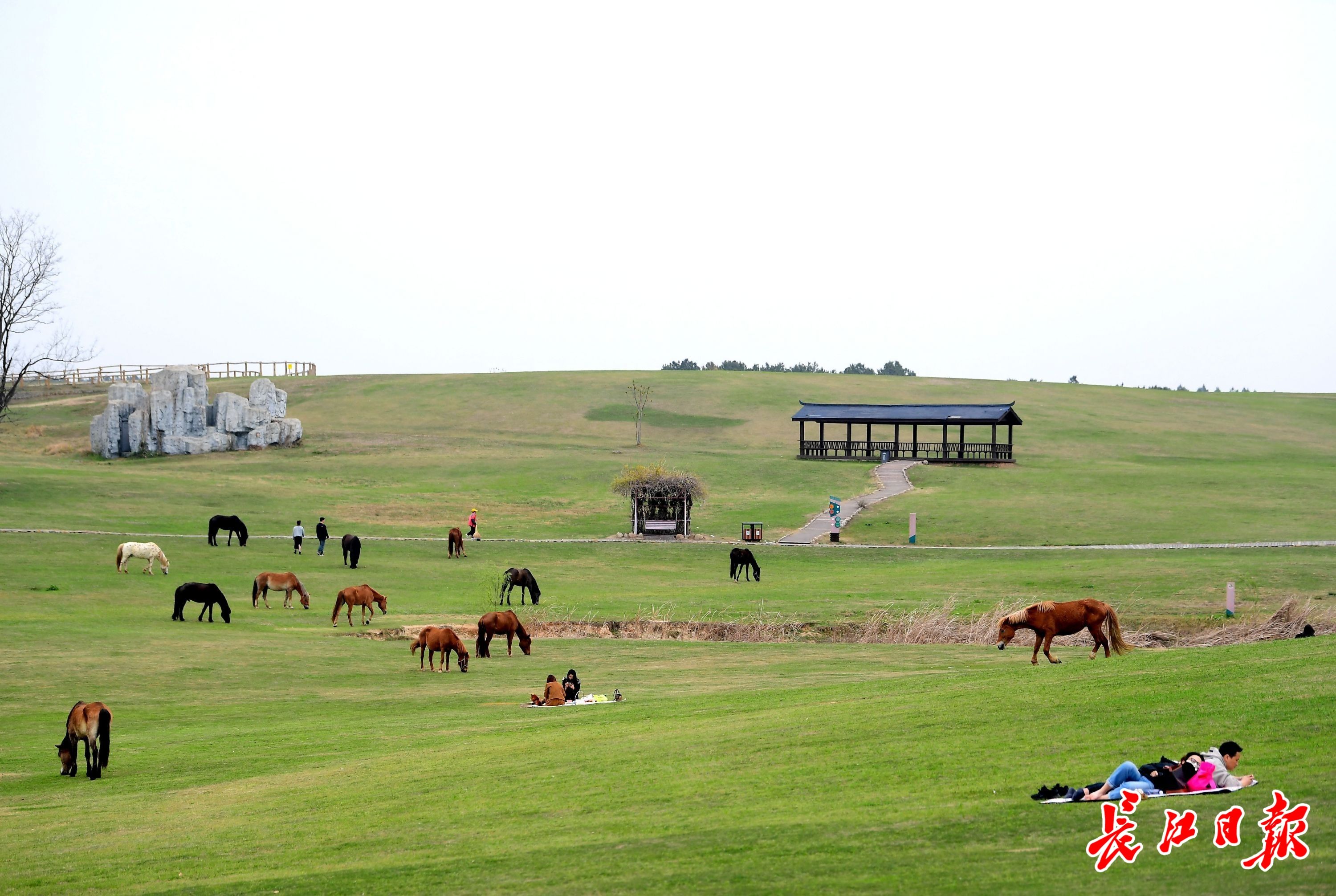 20余年擦亮“木兰”品牌，三分之一黄陂人吃上旅游饭