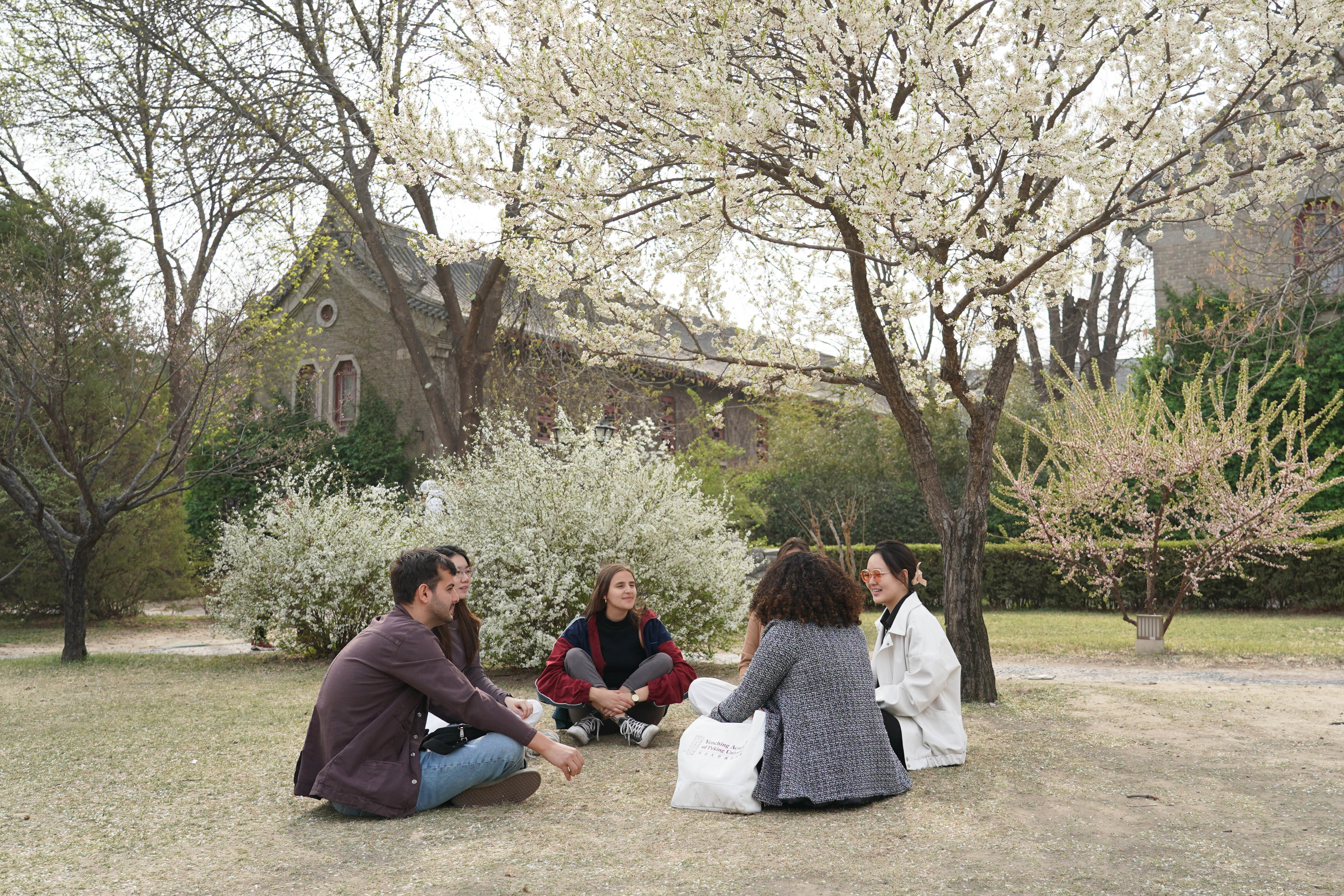 在中国的巴西留学生,北京巴西留学生