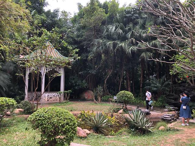 香港澳门旅游攻略5天4晚直播间,香港澳门六日游价格表四月份