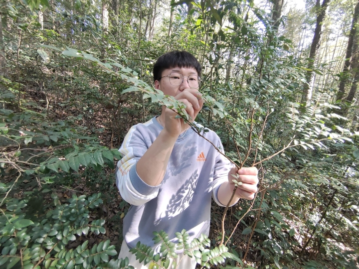 柴火生意怎样做才能赚大钱,柴火致富项目大全