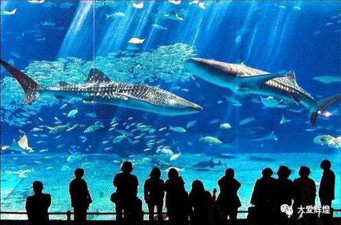 五一假期2天威海旅游攻略,五一威海一天游玩