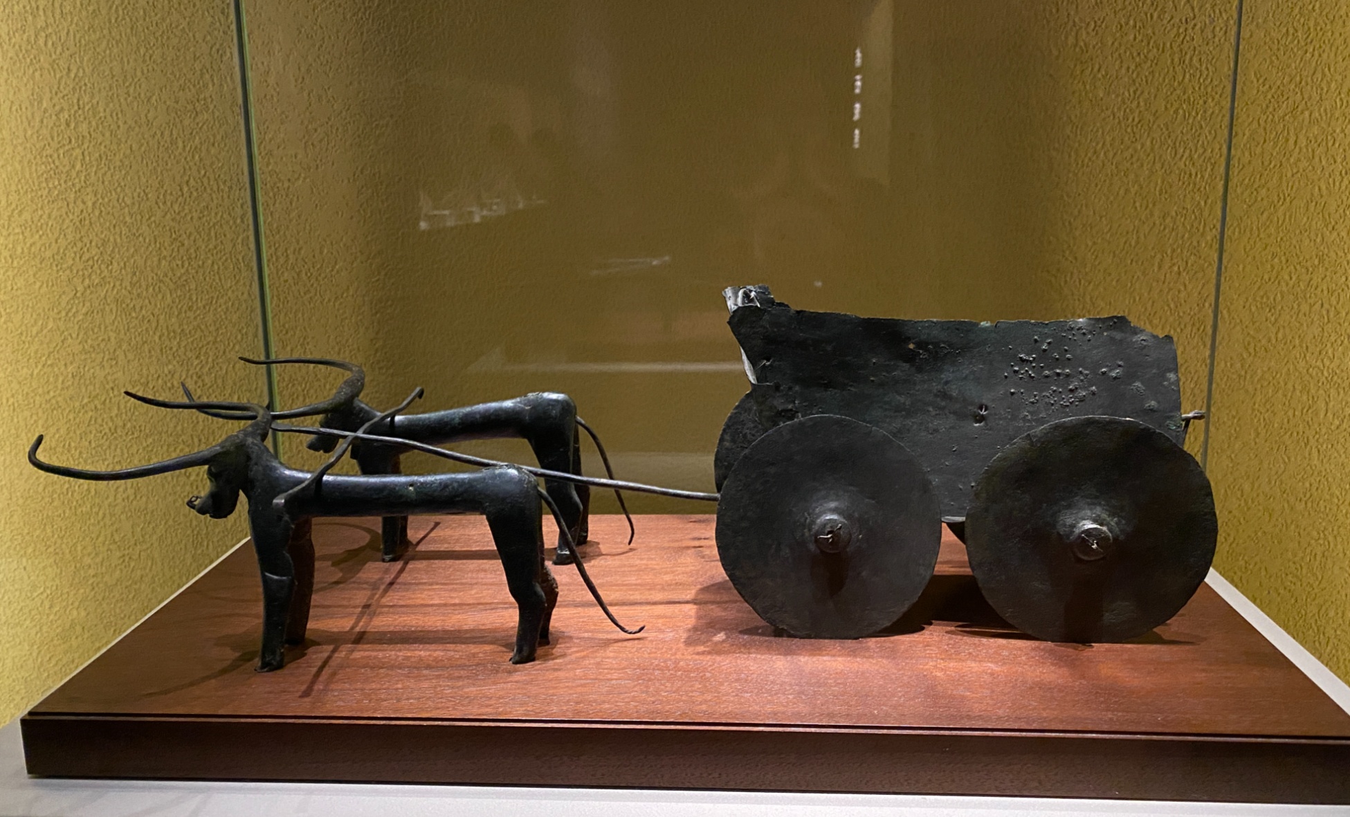 五一四川博物馆成都免费打卡景点,成都国庆博物馆出游推荐