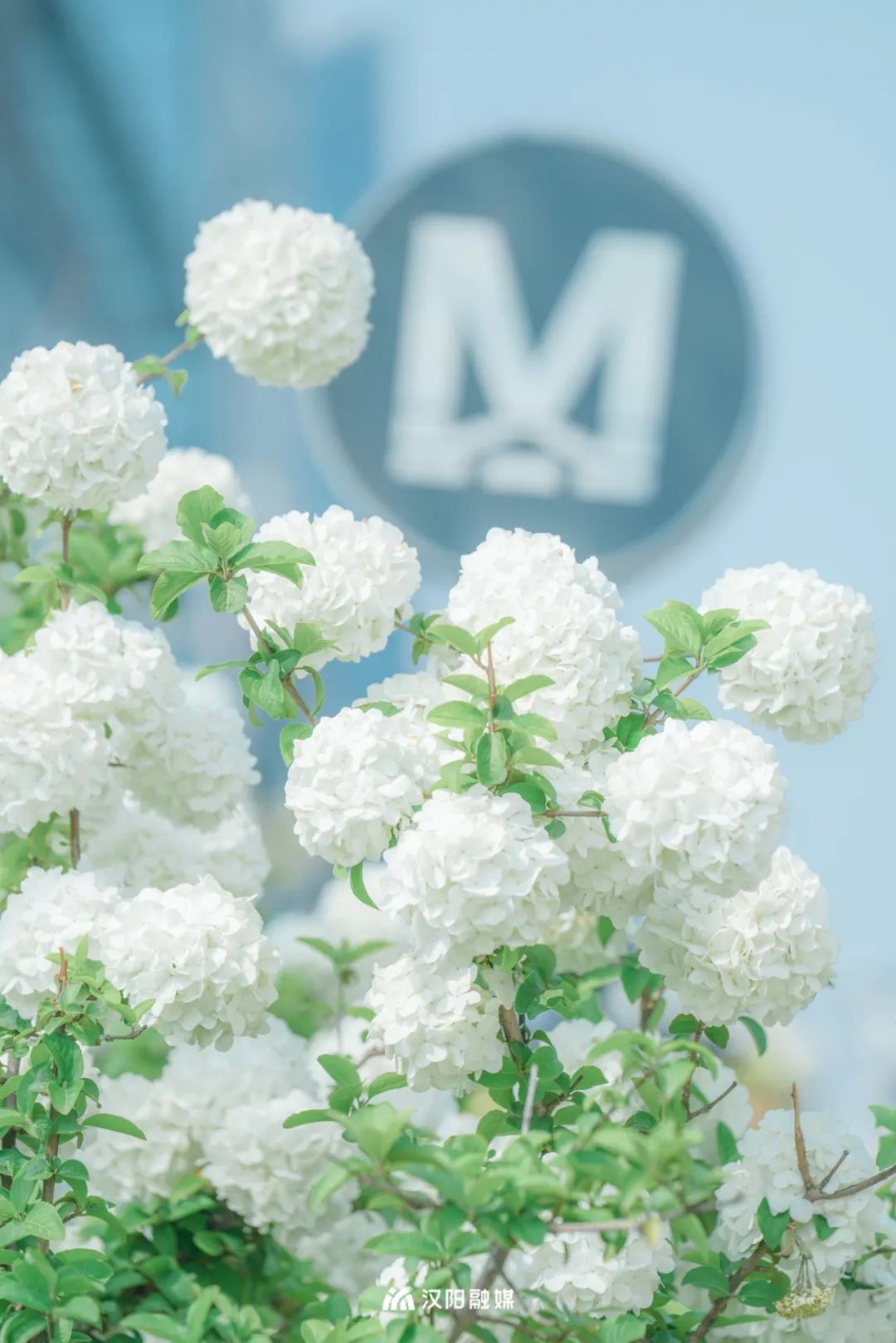 武汉旅游值得带的东西,武汉汉阳两日游最佳攻略