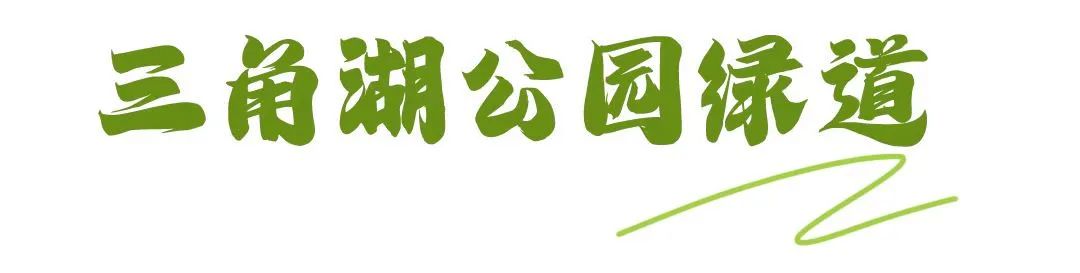 骑车打卡绿道,东湖绿道骑行享受闲暇时光