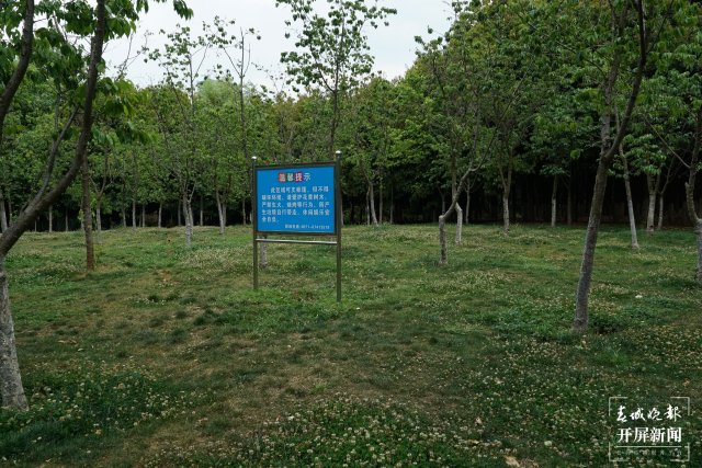 春节昆明景点免费开放,昆明游玩胜地有哪些地方免费开放