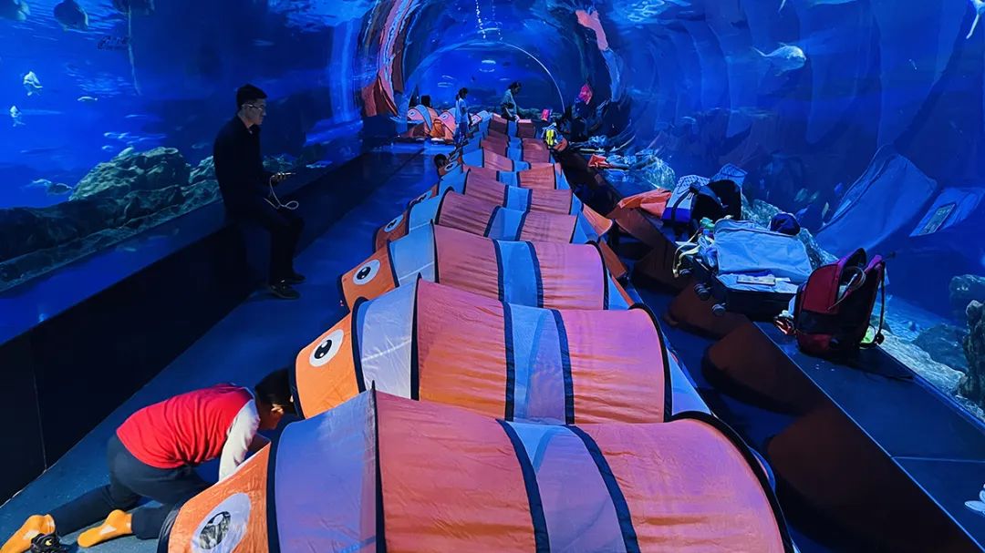 向海乐活节音乐节,2024滨城向海乐活节