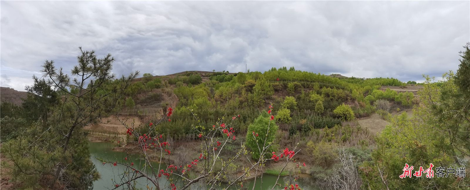 山上种树心底开花——老农“刚强兄弟”的丰厚人生