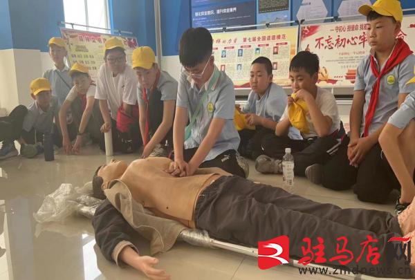 驻马店市第八小学党日活动,驻马店市第十小学党支部主题教育