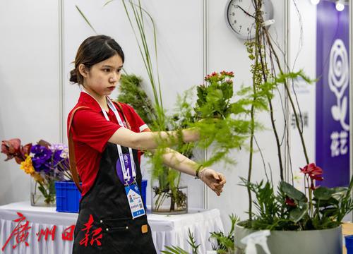 全国职业技能大赛各省展示,职业技能大赛商城