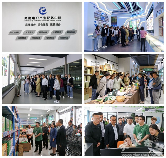 电子商务进农村示范项目预算,电子商务进农村示范项目资金使用