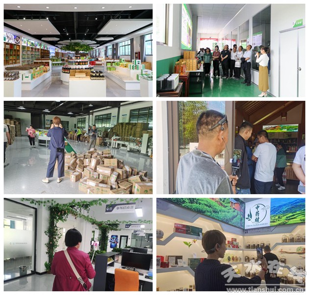 电子商务进农村示范项目预算,电子商务进农村示范项目资金使用