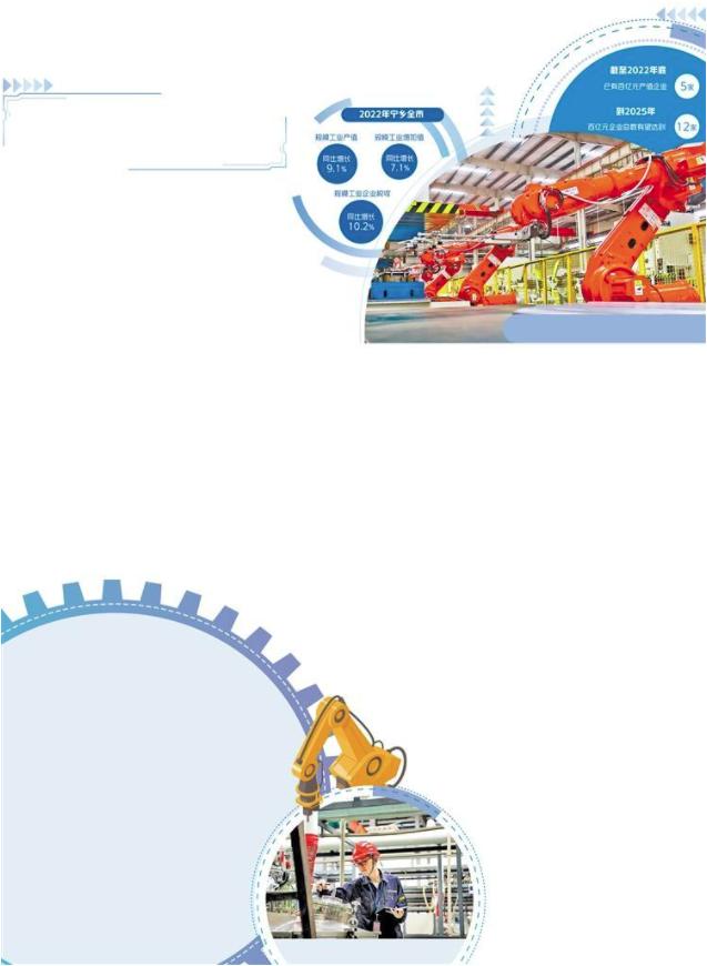 宁乡为何“盛产”百亿级企业,宁乡百亿企业有多少家