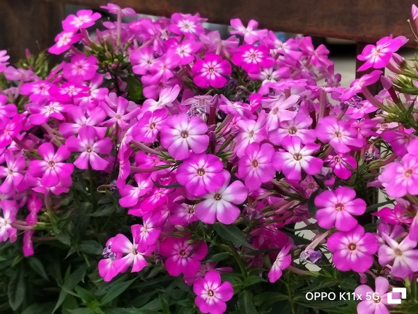 oppok11x一亿像素测评,oppok11x性能