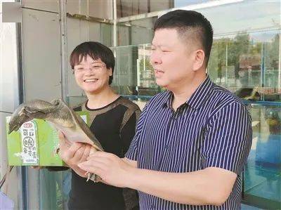 青年人回家创业,年轻人回乡创业趋势