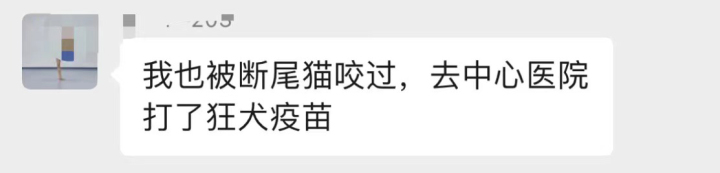 野猫抓伤小孩,抓伤的小猫