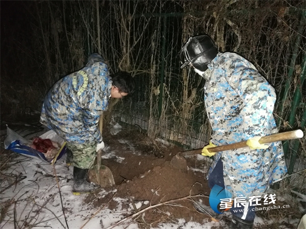 好young隆平丨谢小红：攻坚克难研发“纳米银”新科技快速净化“非洲猪瘟”