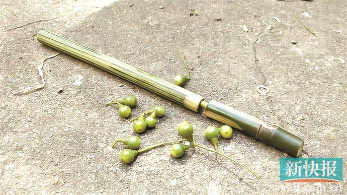 爸爸妈妈小时候玩的游戏感受,妈妈小时候玩的童年游戏