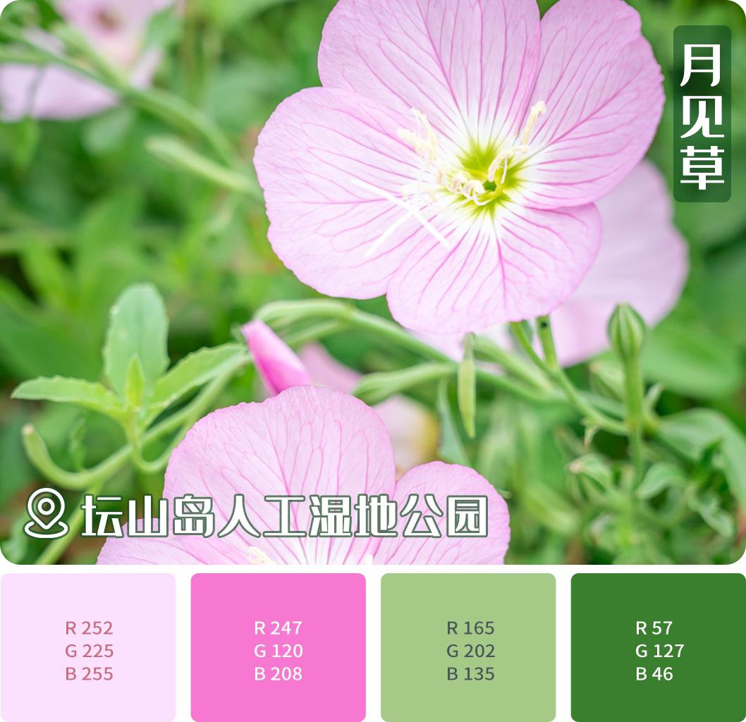 武汉经开区车谷中心城,武汉经开区车谷科技产业园