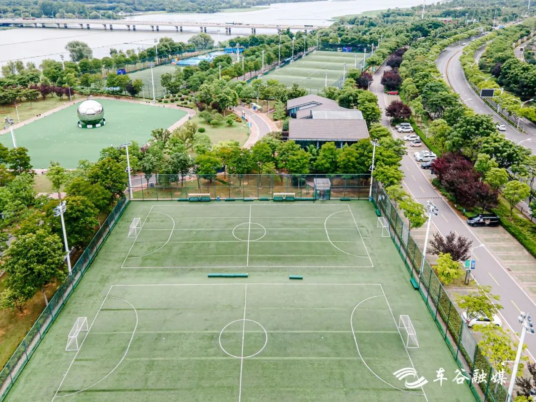 武汉经开区车谷中心城,武汉经开区车谷科技产业园