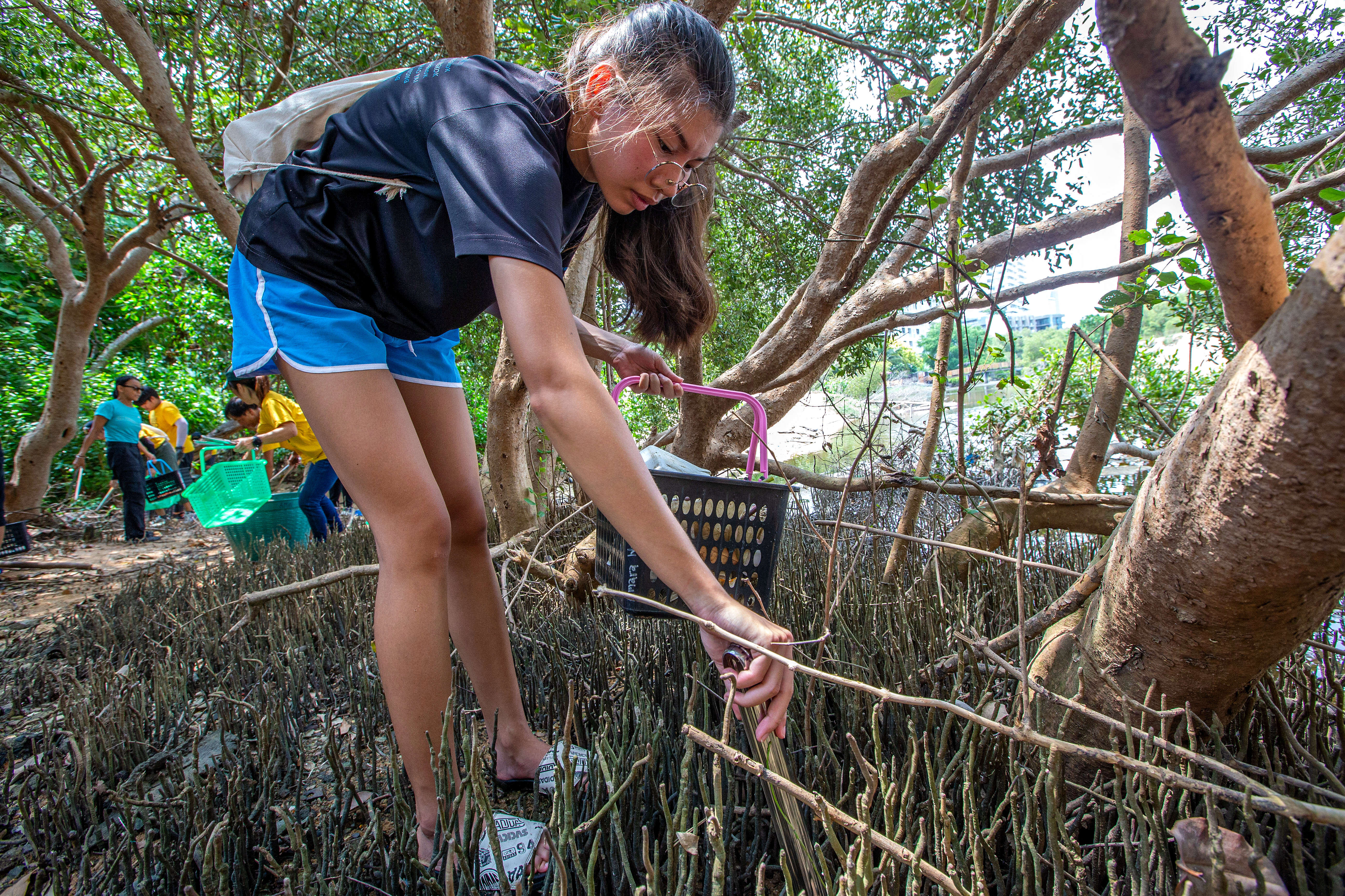 （国际·图文互动）通讯：泰国环境卫士向海洋垃圾“宣战”